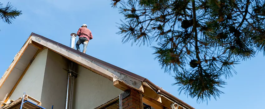 Birds Removal Contractors from Chimney in Fort Thomas, KY
