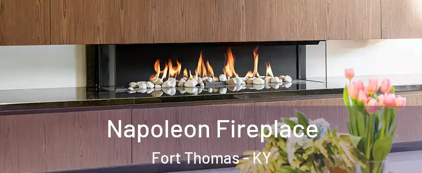  Napoleon Fireplace Fort Thomas - KY